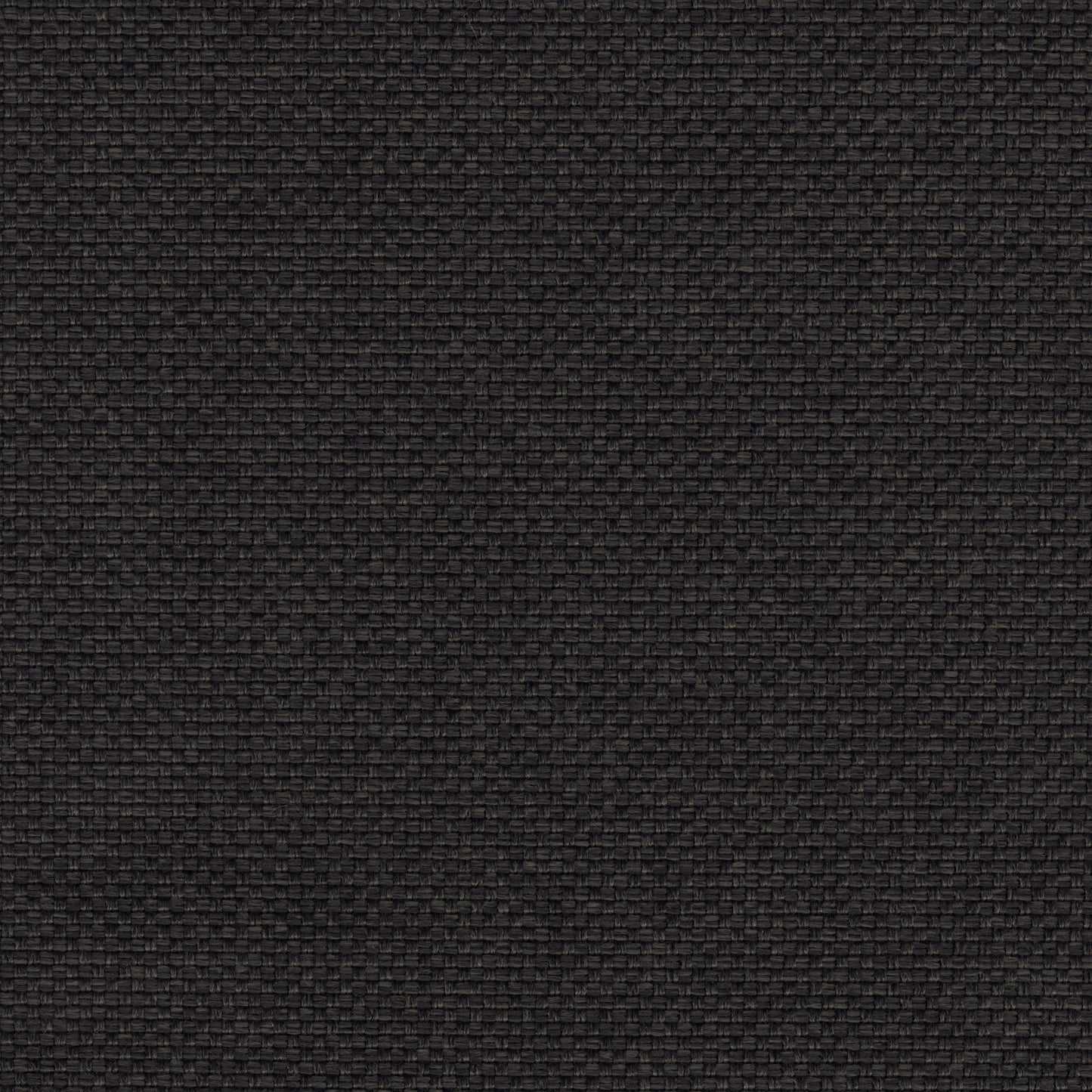 Topanga Sofa 56"