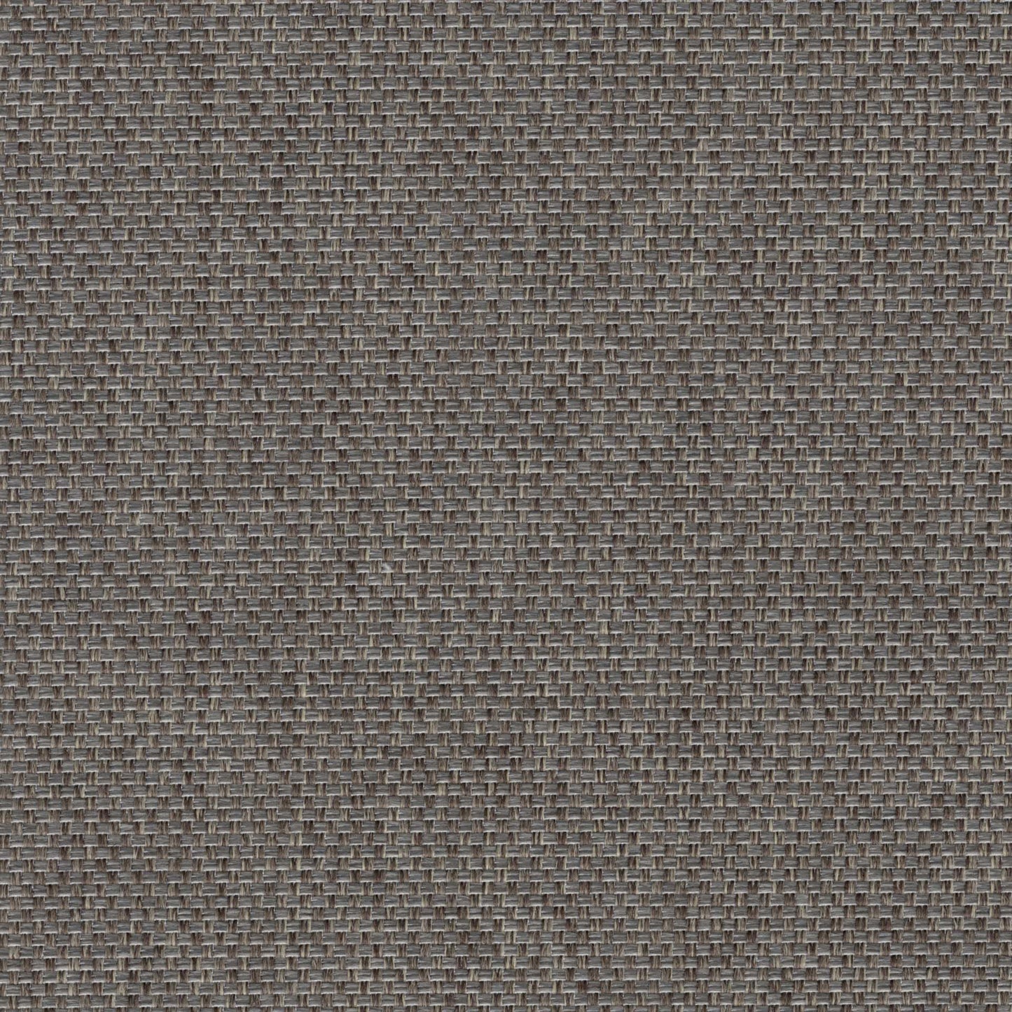 Topanga Sofa 56"